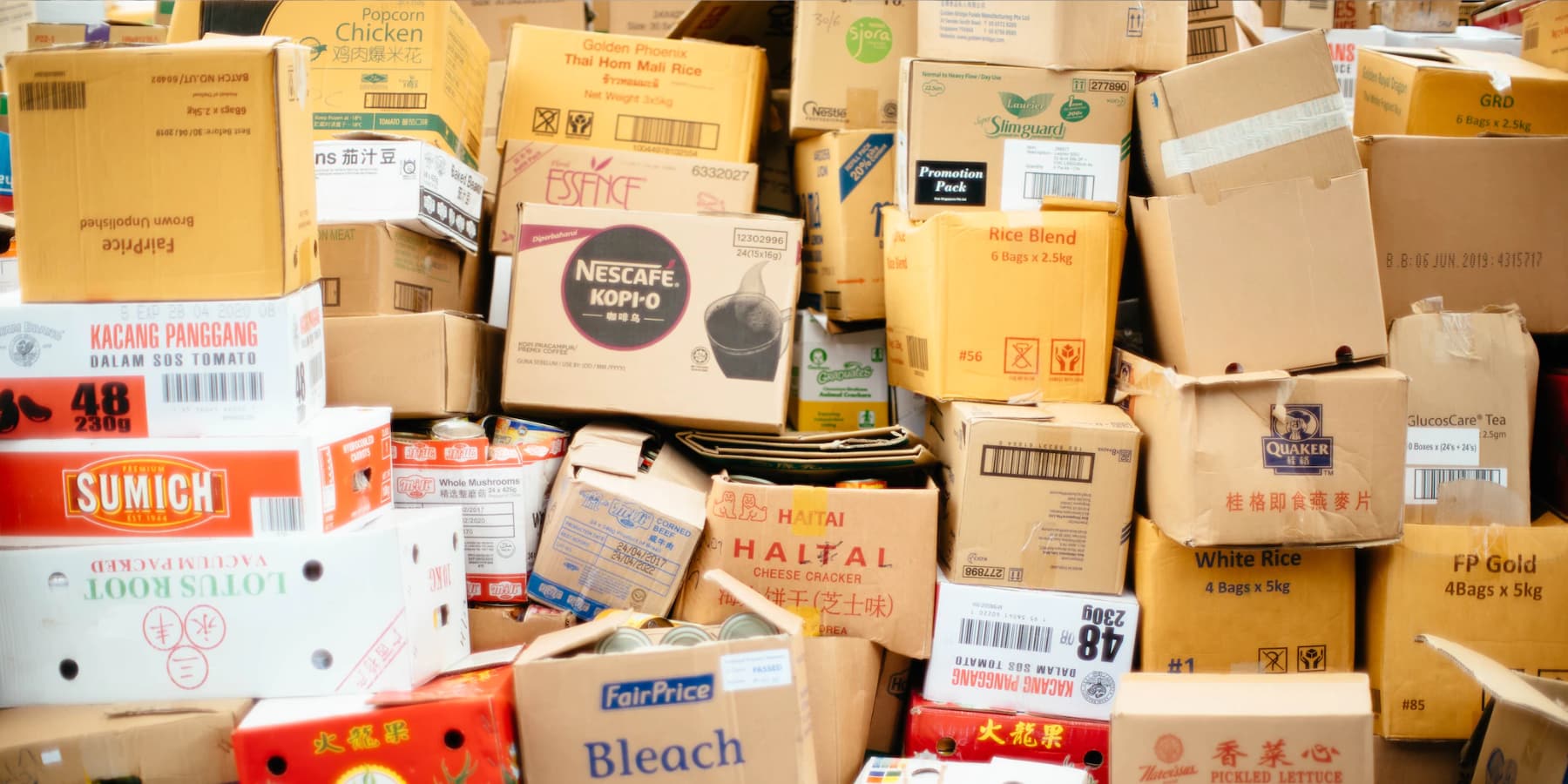 Laravel 9 Database Commands